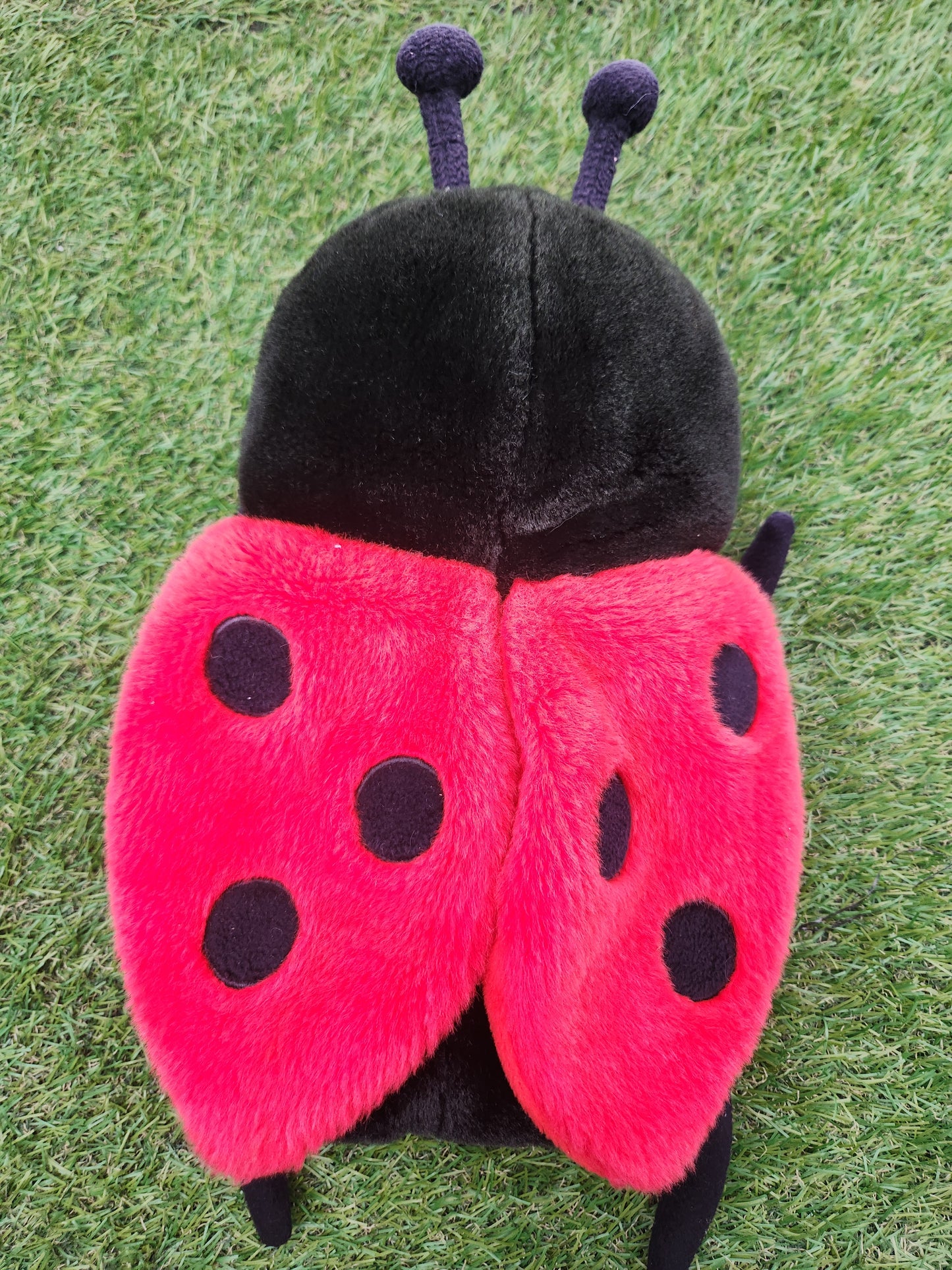 DAPHNE LADYBUG DRIVER HEADCOVER GOOD