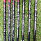 2022 TAYLORMADE STEALTH IRON SET 5-PW,SW REGULAR VENTUS RED GOOD