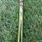 2006 COBRA F SPEED DRIVER 10.5* REGULAR ALDILA NV-F GREEN 55G FAIR