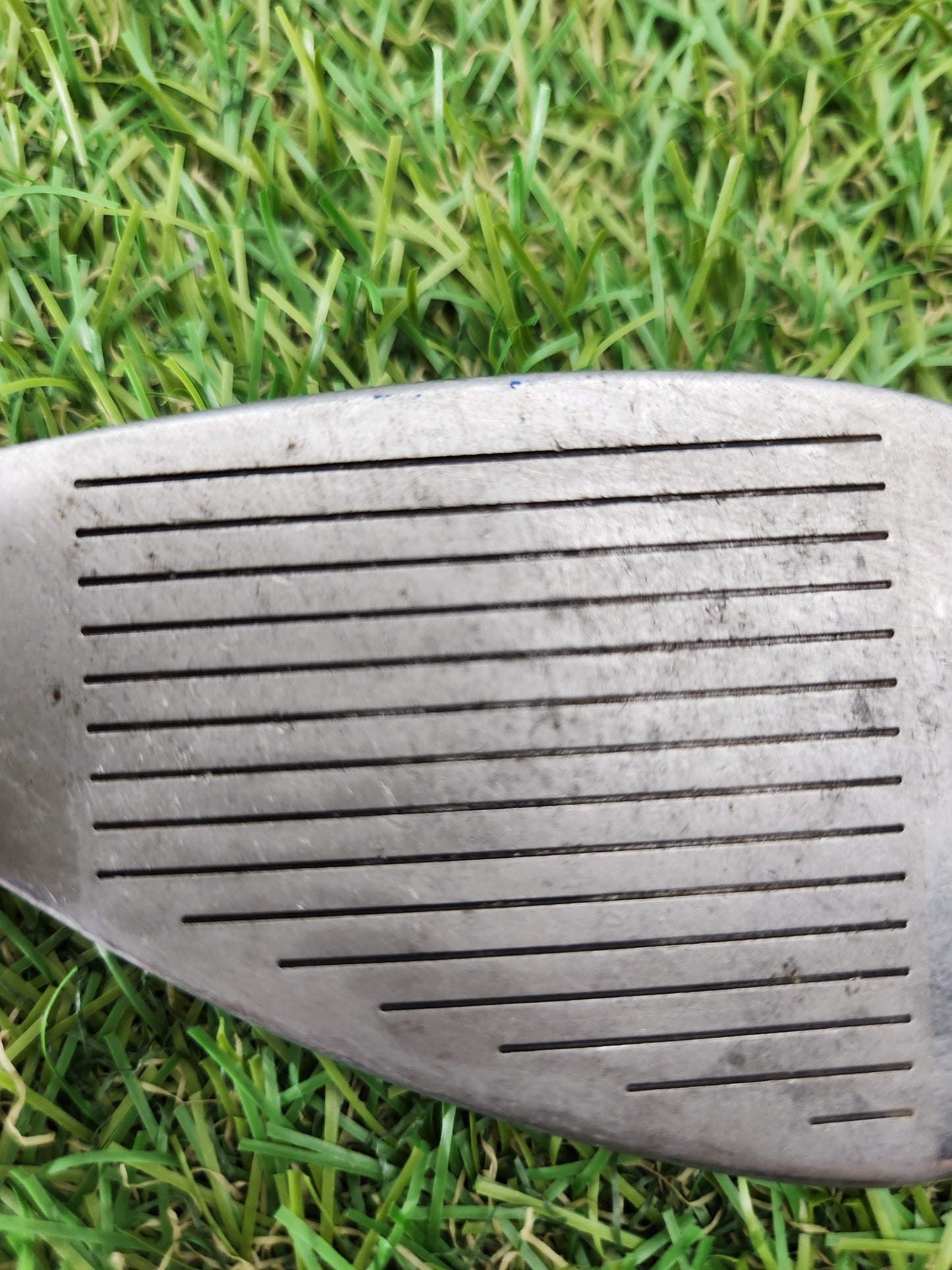 TOP FLITE STAINLESS 8 IRON REGULAR STEEL 36.5" GOOD