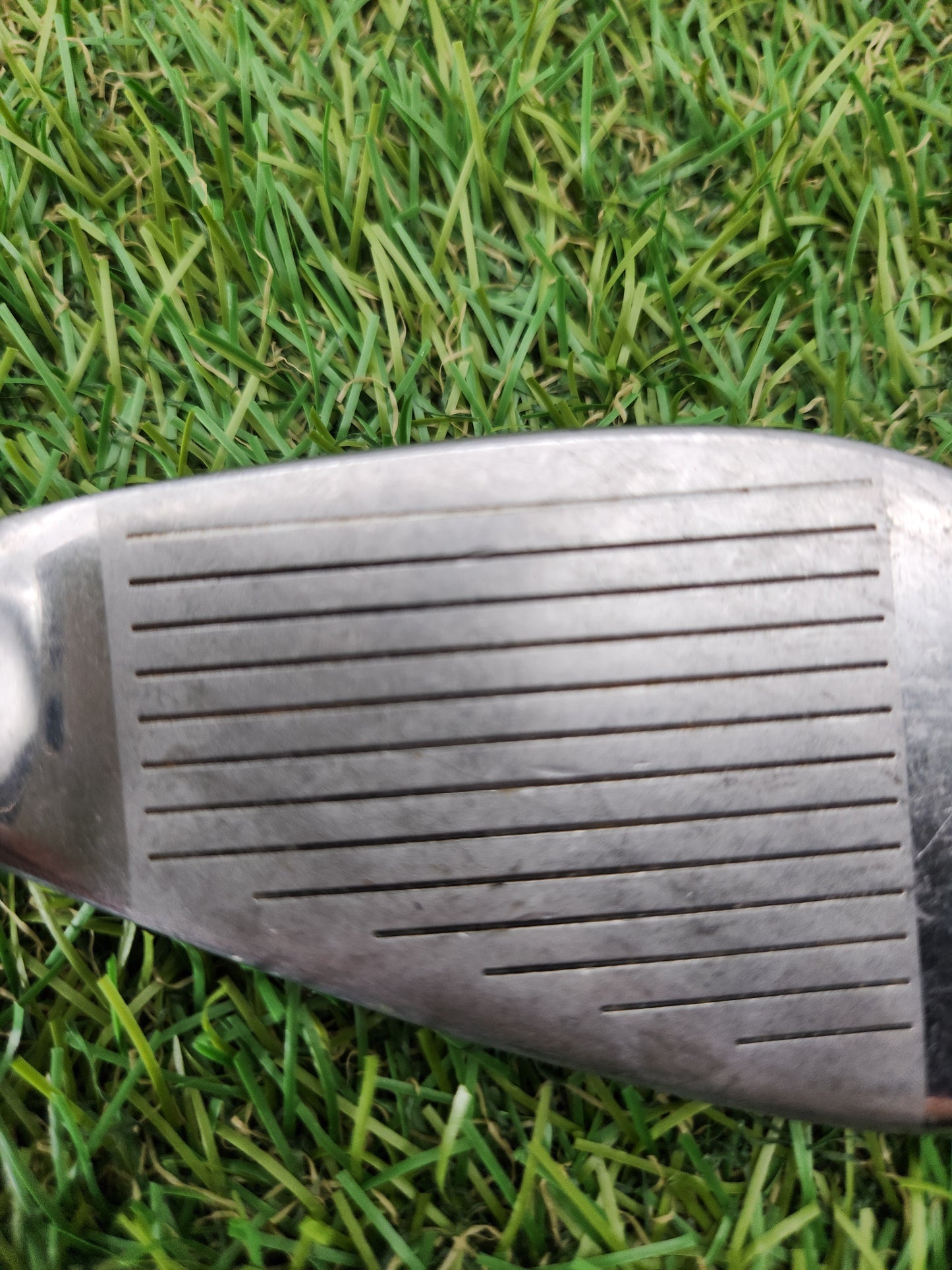 TOP FLITE STAINLESS 6 IRON LADIES GRAPHITE 35.5" FAIR