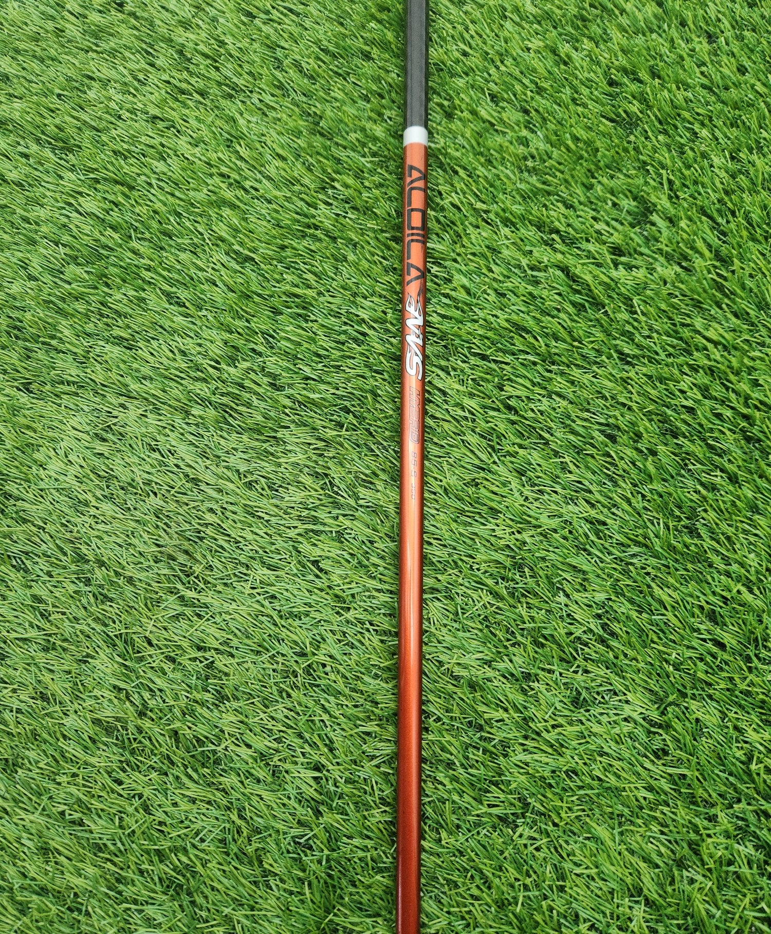 image7