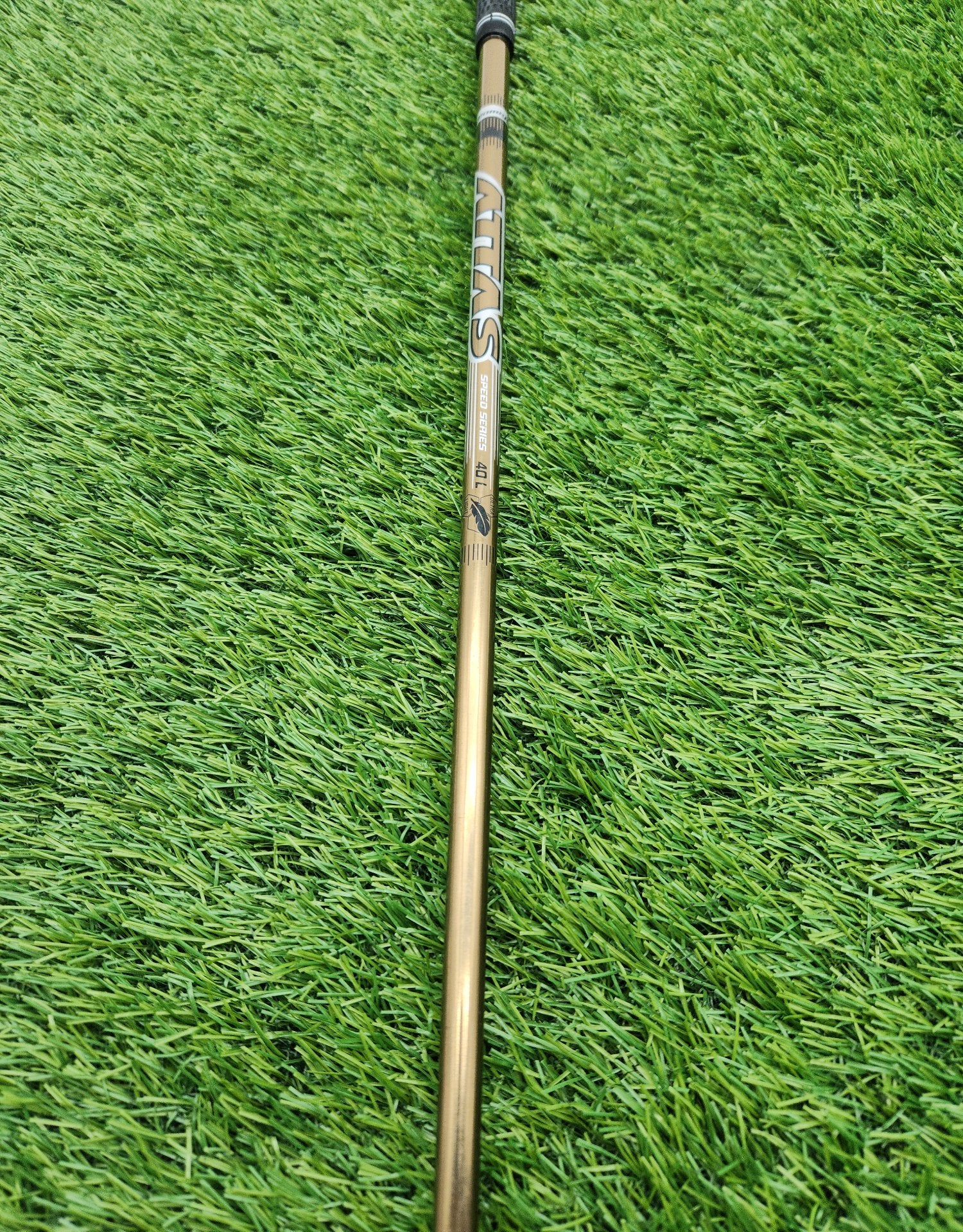 image7